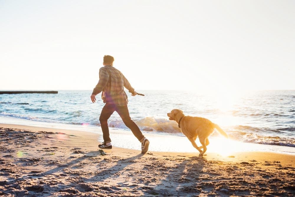A Tail-Wagging Journey: Discovering the Best Dog-Friendly Destinations